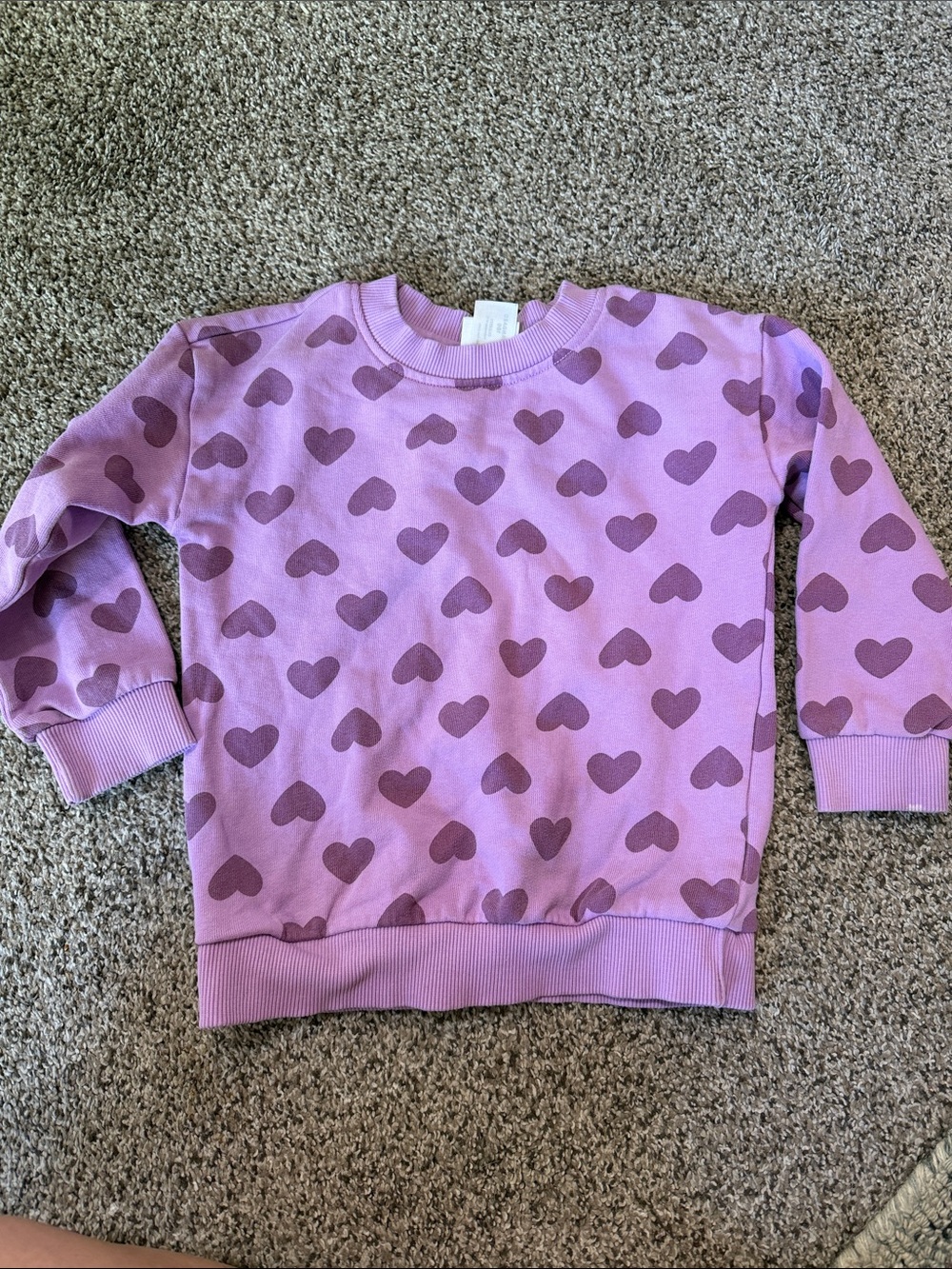 Hanna Andersson Lavender Sweatshirt with Purple Heart Print